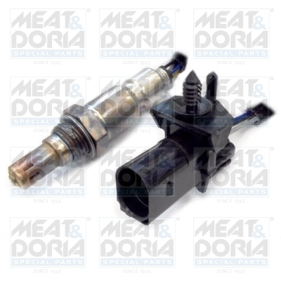 Oxygen Sensor